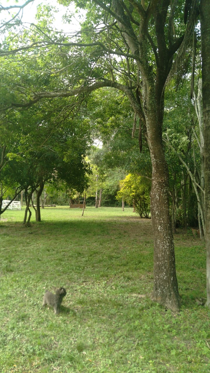 Terreno de 65x 255x100 mts con vivienda 🏡 rural, agua, luz mono y trifásica. Forestado. Camino al río Paraná ripiado(1500mts)