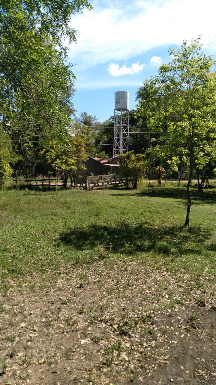 Foto 3