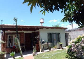IMG 20260102 WA00331