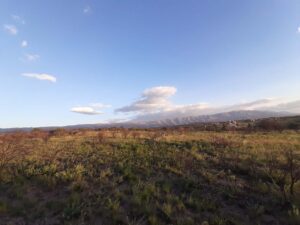 Oportunidad: Terreno de 2500m2 en Arroyo de los Patos. Título perfecto