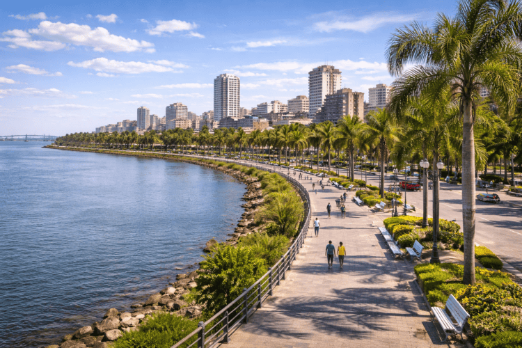 Vivir en Misiones ciudades alquileres y calidad de vida