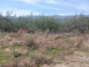Terreno En Venta Los Molles, San Luis (ruta Nacional N3)