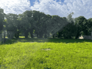 Venta Lote Mar Del Plata