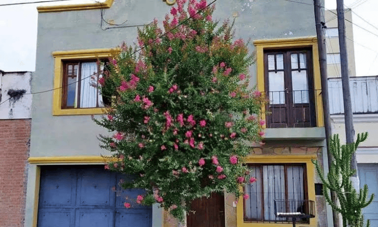 imagen 2026 04 05 183111641