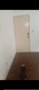 Departamento en alquiler 3 ambientes ,La Plata,57/ 5y 6