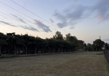 foto1
