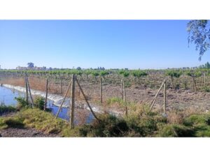 Finca en Pocito , San Juan