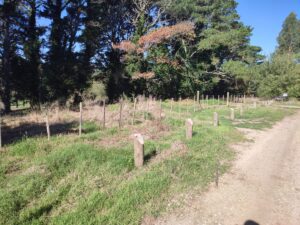 2 lotes en Sierra de los Padres, linderos a cancha de golf