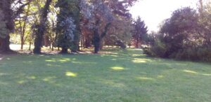 Lote en Las Lomas de MIramar