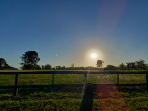 Terreno 15.000 m² en Quebradas Villa Rural
