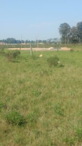 LOTE 8X36,25 listo para hacer conexión de agua y luz