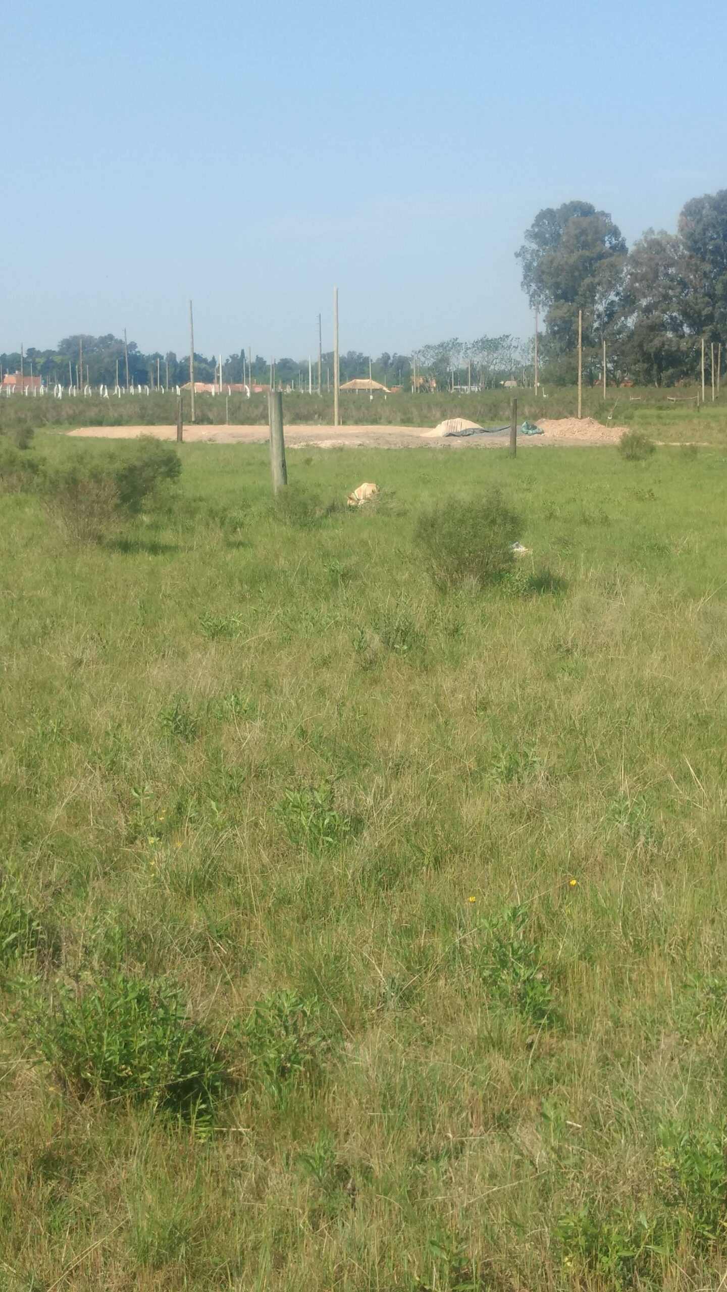 LOTE 8X36,25 listo para hacer conexión de agua y luz