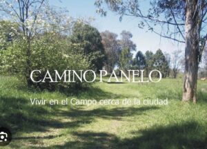 Vendo Terreno en Cañuelas
