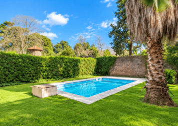 Jardin soleado con piscina turquesa y palmera