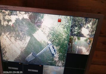 IMG 20260129 093603 655