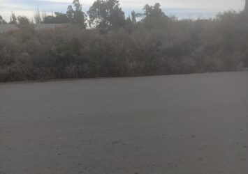 IMG 20260521 140926