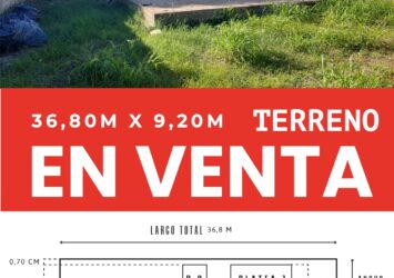 Sin titulo435